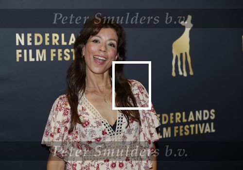 Utrecht 27 september 2018
Openingsavond Nederlandse Filmdagen in schouwburg Utrecht. nadja Hupscher met ..