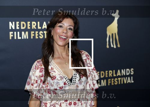 Utrecht 27 september 2018
Openingsavond Nederlandse Filmdagen in schouwburg Utrecht. nadja Hupscher met ..