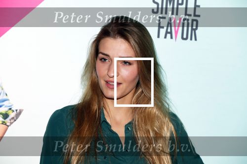 Amsterdam26 april 2018
Premiere a simple flavor in pathe arena.