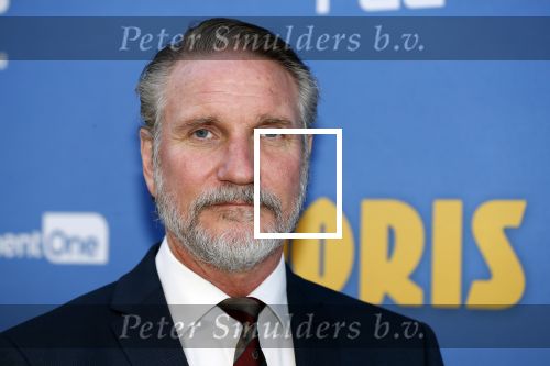 Amsterdam 17 september 2018
Premiere Doris in Tuschinski. De cast bestaat uit oa Tjitske Reidinga Guy Clemens Bracha v Doesburgh Tanik Moree Peter Blok .
