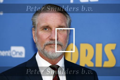 Amsterdam 17 september 2018
Premiere Doris in Tuschinski. De cast bestaat uit oa Tjitske Reidinga Guy Clemens Bracha v Doesburgh Tanik Moree Peter Blok .