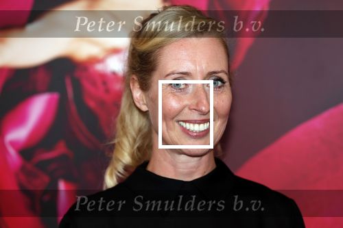 Amsterdam 8 september 2018
Premiere Nationaal Ballet in de stopera.
Plien van Bennekom en partner Jeroen Wassmer