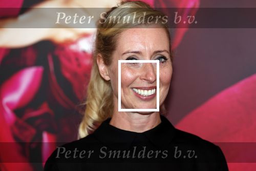 Amsterdam 8 september 2018
Premiere Nationaal Ballet in de stopera.
Plien van Bennekom en partner Jeroen Wassmer