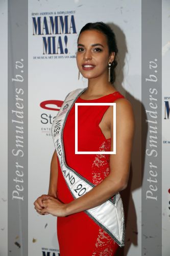 Utrecht 23 september 2018
Premiere Mamma Mia in het Beatrix Theater. Rahima Dirkse