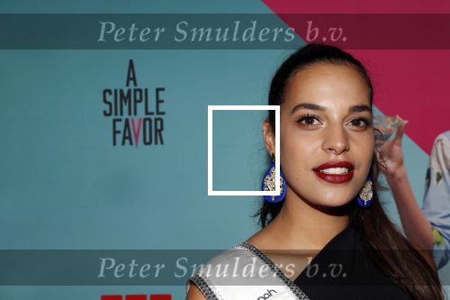 Amsterdam26 april 2018
Premiere a simple flavor in pathe arena. Rahima Dirkse