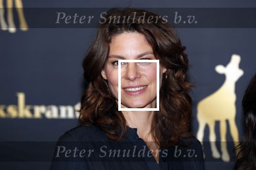 Utrecht 27 september 2018
Openingsavond Nederlandse Filmdagen in schouwburg Utrecht. Rifka Lodeizen