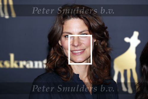 Utrecht 27 september 2018
Openingsavond Nederlandse Filmdagen in schouwburg Utrecht. Rifka Lodeizen