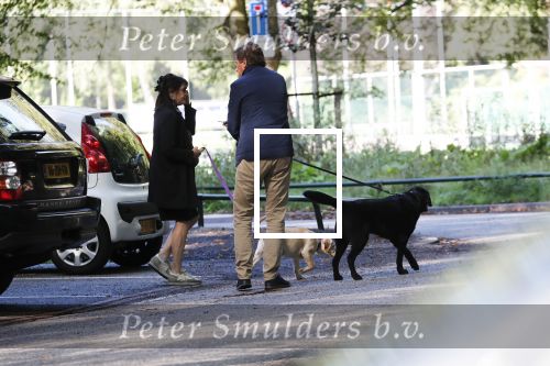 Amsterdam 13 september 2018
Robert ten Brink en zijn vrouw Roos laten hun twee honden uit in het amsterdamse bos.