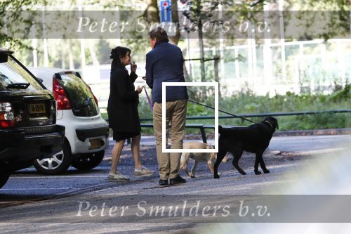 Amsterdam 13 september 2018
Robert ten Brink en zijn vrouw Roos laten hun twee honden uit in het amsterdamse bos.