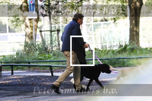 Amsterdam 13 september 2018
Robert ten Brink en zijn vrouw Roos laten hun twee honden uit in het amsterdamse bos.