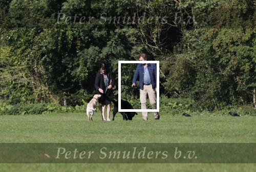 Amsterdam 13 september 2018
Robert ten Brink en zijn vrouw Roos laten hun twee honden uit in het amsterdamse bos.