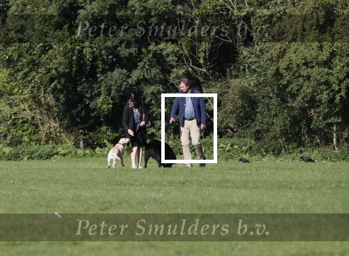 Amsterdam 13 september 2018
Robert ten Brink en zijn vrouw Roos laten hun twee honden uit in het amsterdamse bos.