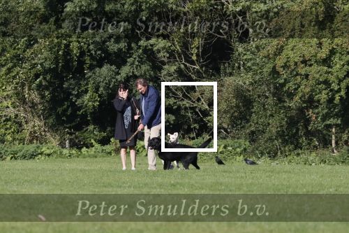 Amsterdam 13 september 2018
Robert ten Brink en zijn vrouw Roos laten hun twee honden uit in het amsterdamse bos.