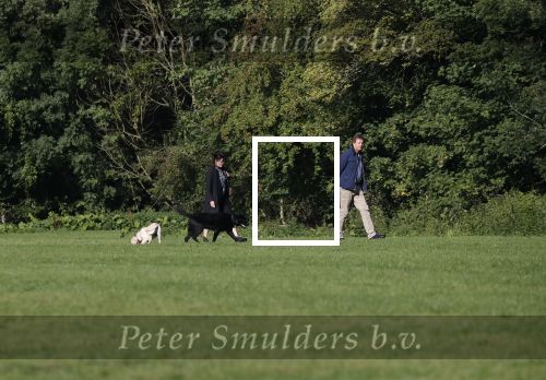 Amsterdam 13 september 2018
Robert ten Brink en zijn vrouw Roos laten hun twee honden uit in het amsterdamse bos.