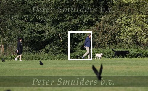 Amsterdam 13 september 2018
Robert ten Brink en zijn vrouw Roos laten hun twee honden uit in het amsterdamse bos.