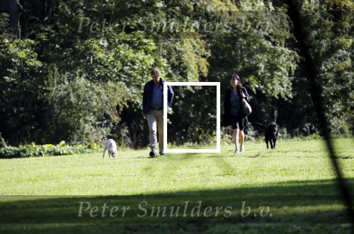 Amsterdam 13 september 2018
Robert ten Brink en zijn vrouw Roos laten hun twee honden uit in het amsterdamse bos.