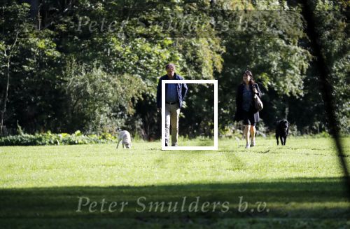 Amsterdam 13 september 2018
Robert ten Brink en zijn vrouw Roos laten hun twee honden uit in het amsterdamse bos.