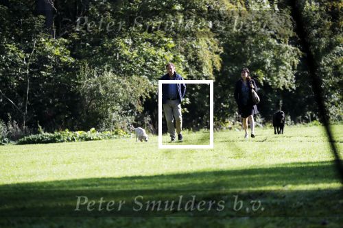 Amsterdam 13 september 2018
Robert ten Brink en zijn vrouw Roos laten hun twee honden uit in het amsterdamse bos.