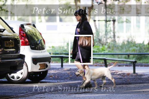 Amsterdam 13 september 2018
Robert ten Brink en zijn vrouw Roos laten hun twee honden uit in het amsterdamse bos.