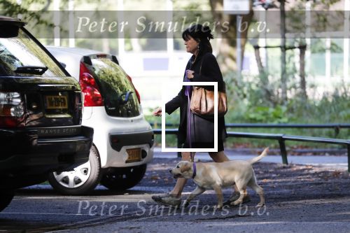 Amsterdam 13 september 2018
Robert ten Brink en zijn vrouw Roos laten hun twee honden uit in het amsterdamse bos.