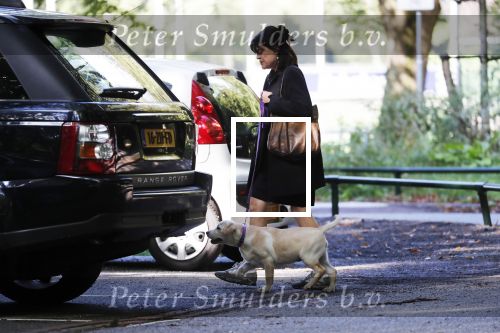 Amsterdam 13 september 2018
Robert ten Brink en zijn vrouw Roos laten hun twee honden uit in het amsterdamse bos.