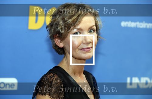 Amsterdam 17 september 2018
Premiere Doris in Tuschinski. De cast bestaat uit oa Tjitske Reidinga Guy Clemens Bracha v Doesburgh Tanik Moree Peter Blok . Roos Ouwehand