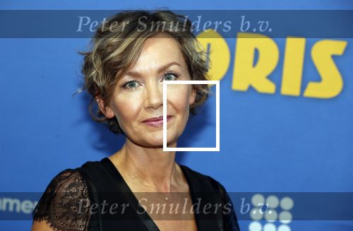 Amsterdam 17 september 2018
Premiere Doris in Tuschinski. De cast bestaat uit oa Tjitske Reidinga Guy Clemens Bracha v Doesburgh Tanik Moree Peter Blok . Roos Ouwehand