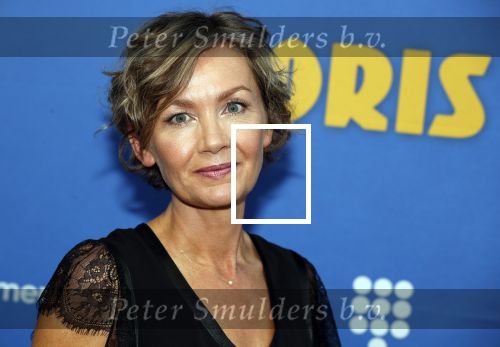 Amsterdam 17 september 2018
Premiere Doris in Tuschinski. De cast bestaat uit oa Tjitske Reidinga Guy Clemens Bracha v Doesburgh Tanik Moree Peter Blok . Roos Ouwehand