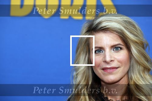 Amsterdam 17 september 2018
Premiere Doris in Tuschinski. De cast bestaat uit oa Tjitske Reidinga Guy Clemens Bracha v Doesburgh Tanik Moree Peter Blok . Guy Clemens met partner Rosa Reuten