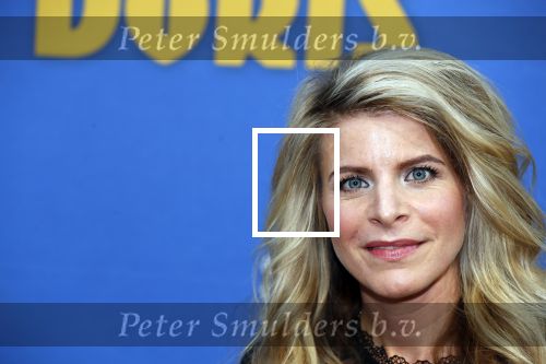 Amsterdam 17 september 2018
Premiere Doris in Tuschinski. De cast bestaat uit oa Tjitske Reidinga Guy Clemens Bracha v Doesburgh Tanik Moree Peter Blok . Guy Clemens met partner Rosa Reuten
