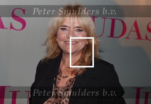 Amsterdam20 september 2018
Premiere Judas in de meervaart. 
Zangeres Mrs Einstein Saskia v Zutphen