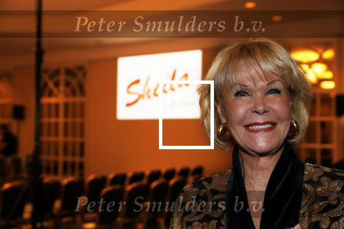 Amsterdam 16 september 2018
45 jaar Sheila de Vries in het Hilton.