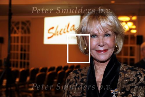 Amsterdam 16 september 2018
45 jaar Sheila de Vries in het Hilton.