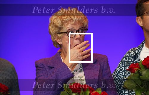 Amsterdam 30 september 2018
1 jaar Annie MG Schmidt in het delamar theater. Simone Kleinsma krijgt koninklijke onderscheiding.