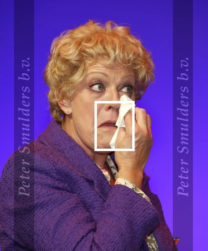Amsterdam 30 september 2018
1 jaar Annie MG Schmidt in het delamar theater. Simone Kleinsma krijgt koninklijke onderscheiding.