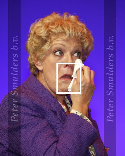 Amsterdam 30 september 2018
1 jaar Annie MG Schmidt in het delamar theater. Simone Kleinsma krijgt koninklijke onderscheiding.