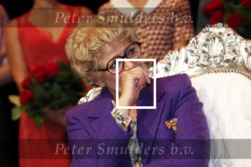 Amsterdam 30 september 2018
1 jaar Annie MG Schmidt in het delamar theater. Simone Kleinsma krijgt koninklijke onderscheiding.