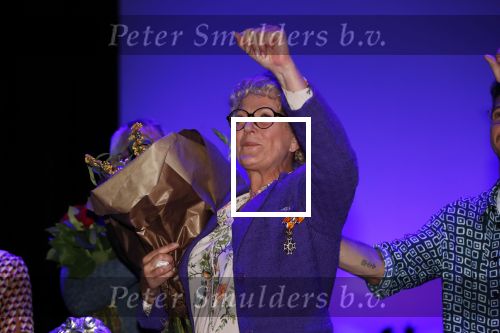 Amsterdam 30 september 2018
1 jaar Annie MG Schmidt in het delamar theater. Simone Kleinsma krijgt koninklijke onderscheiding.