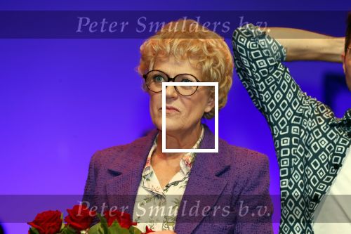 Amsterdam 30 september 2018
1 jaar Annie MG Schmidt in het delamar theater. Simone Kleinsma krijgt koninklijke onderscheiding.