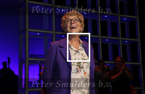 Amsterdam 30 september 2018
1 jaar Annie MG Schmidt in het delamar theater. Simone Kleinsma krijgt koninklijke onderscheiding