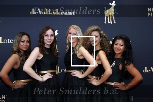 Utrecht 27 september 2018
Openingsavond Nederlandse Filmdagen in schouwburg Utrecht. Dames van Stella agency
