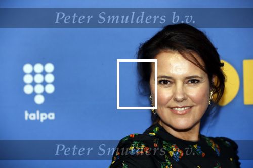 Amsterdam 17 september 2018
Premiere Doris in Tuschinski. De cast bestaat uit oa Tjitske Reidinga Guy Clemens Bracha v Doesburgh Tanik Moree Peter Blok .