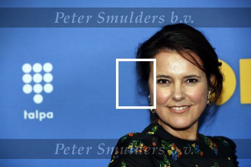Amsterdam 17 september 2018
Premiere Doris in Tuschinski. De cast bestaat uit oa Tjitske Reidinga Guy Clemens Bracha v Doesburgh Tanik Moree Peter Blok .