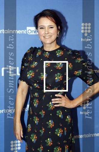 Amsterdam 17 september 2018
Premiere Doris in Tuschinski. De cast bestaat uit oa Tjitske Reidinga Guy Clemens Bracha v Doesburgh Tanik Moree Peter Blok . Susan Visser