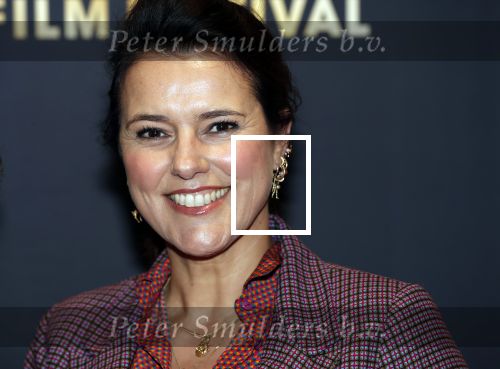 Utrecht 27 september 2018
Openingsavond Nederlandse Filmdagen in schouwburg Utrecht. Susan Visser