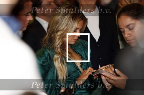 Amsterdam 21 september 2018
Sylvie Meis bij de premiere Elvyâ€™s wereld in Pathe Arena . Haar broer en zwager waren ook aanwezig.
