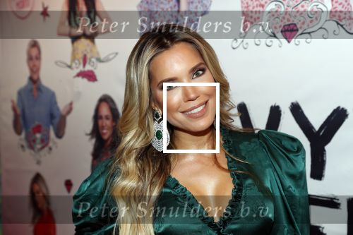 Amsterdam 21 september 2018
Sylvie Meis bij de premiere Elvyâ€™s wereld in Pathe Arena . Haar broer en zwager waren ook aanwezig.