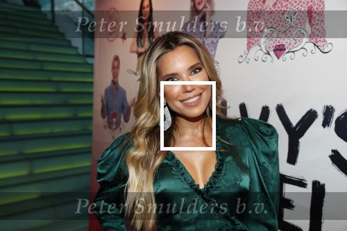 Amsterdam 21 september 2018
Sylvie Meis bij de premiere Elvyâ€™s wereld in Pathe Arena . Haar broer en zwager waren ook aanwezig.