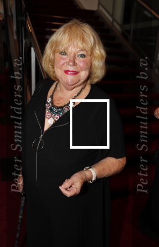 Utrecht 23 september 2018
Premiere Mamma Mia in het Beatrix Theater. Tineke de Nooij