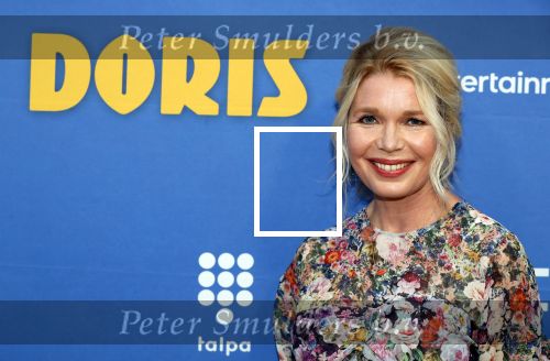 Amsterdm 17 september 2018
Premiere Doris in Tuschinski. De cast bestaat uit oa Tjitske Reidinga Guy Clemens Bracha v Doesburgh Tanik Moree Peter Blok .
